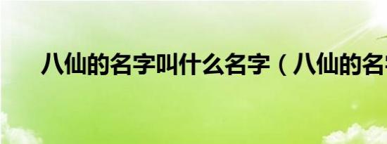 八仙的名字叫什么名字（八仙的名字）