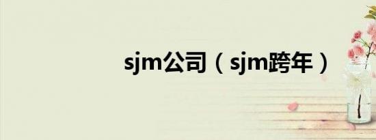 sjm公司（sjm跨年）