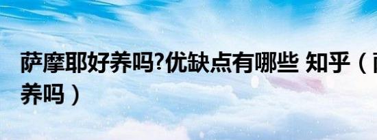 萨摩耶好养吗?优缺点有哪些 知乎（萨摩耶好养吗）