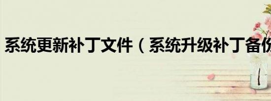 系统更新补丁文件（系统升级补丁备份文件）
