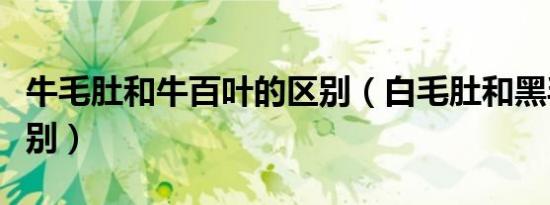 牛毛肚和牛百叶的区别（白毛肚和黑毛肚的区别）
