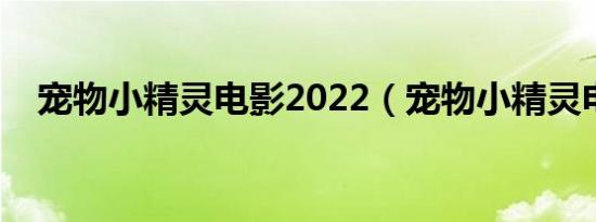 宠物小精灵电影2022（宠物小精灵电影）