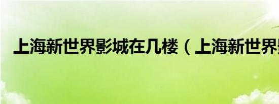 上海新世界影城在几楼（上海新世界影城）