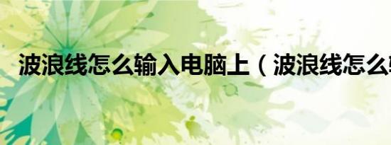 波浪线怎么输入电脑上（波浪线怎么输入）