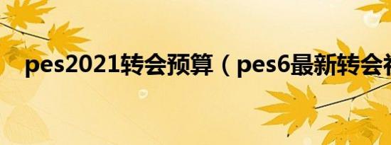 pes2021转会预算（pes6最新转会补丁）