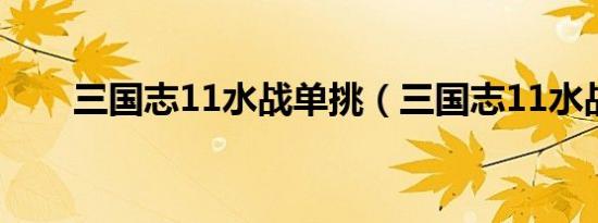 三国志11水战单挑（三国志11水战）