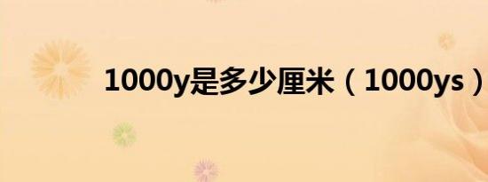 1000y是多少厘米（1000ys）