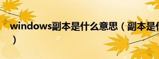 windows副本是什么意思（副本是什么意思）