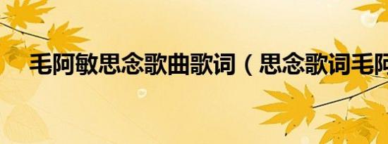 毛阿敏思念歌曲歌词（思念歌词毛阿敏）