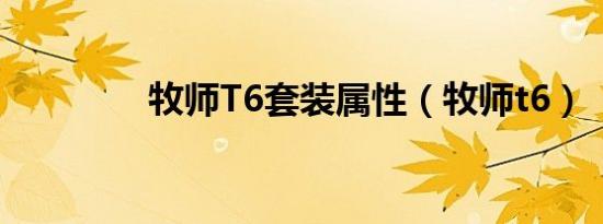 牧师T6套装属性（牧师t6）