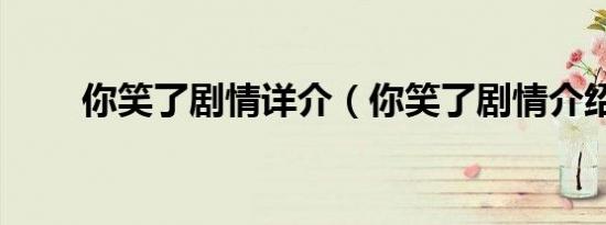 你笑了剧情详介（你笑了剧情介绍）