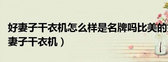 好妻子干衣机怎么样是名牌吗比美的好吗（好妻子干衣机）