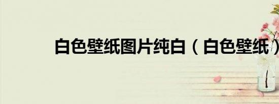 白色壁纸图片纯白（白色壁纸）