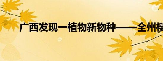 国内期货主力合约涨跌不一 集运指数欧线涨超4%