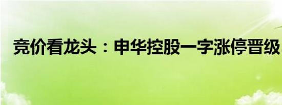竞价看龙头：申华控股一字涨停晋级5连板