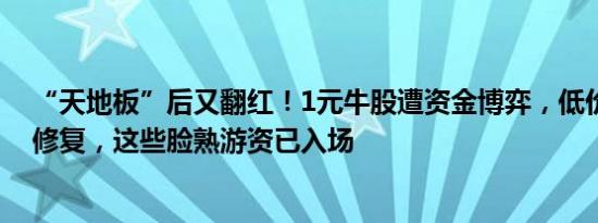 “天地板”后又翻红！1元牛股遭资金博弈，低价标的多迎修复，这些脸熟游资已入场