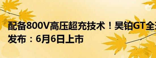配备800V高压超充技术！昊铂GT全球款官图发布：6月6日上市