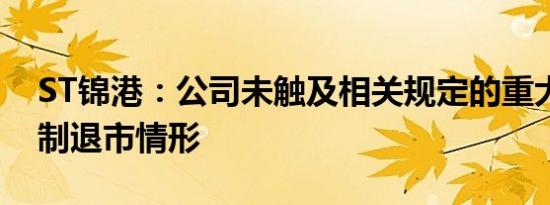 ST锦港：公司未触及相关规定的重大违法强制退市情形