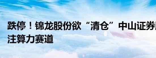 跌停！锦龙股份欲“清仓”中山证券股权，押注算力赛道