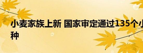 小麦家族上新 国家审定通过135个小麦新品种