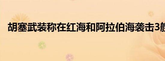 胡塞武装称在红海和阿拉伯海袭击3艘船只