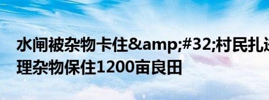 水闸被杂物卡住&#32;村民扎进河里清理杂物保住1200亩良田