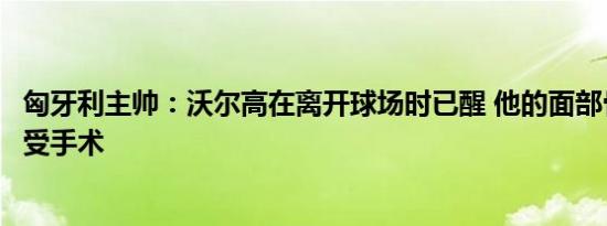 匈牙利主帅：沃尔高在离开球场时已醒 他的面部骨折将要接受手术