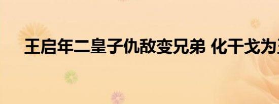 王启年二皇子仇敌变兄弟 化干戈为玉帛