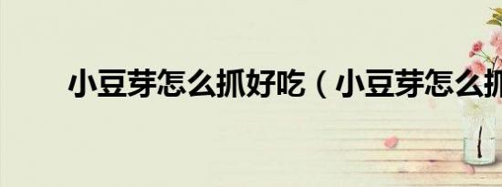 小豆芽怎么抓好吃（小豆芽怎么抓）