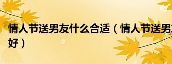 情人节送男友什么合适（情人节送男友什么最好）