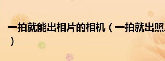 一拍就能出相片的相机（一拍就出照片的相机）