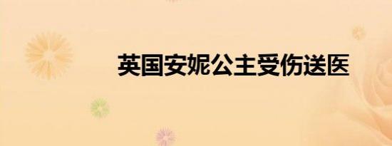 英国安妮公主受伤送医