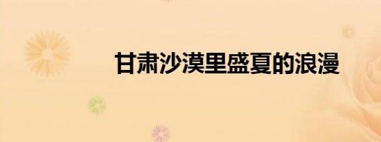 甘肃沙漠里盛夏的浪漫