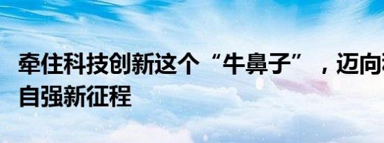 牵住科技创新这个“牛鼻子”，迈向科技自立自强新征程