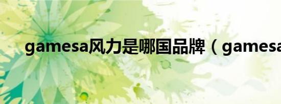 gamesa风力是哪国品牌（gamesafe）