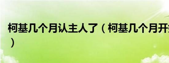 柯基几个月认主人了（柯基几个月开始认主人）