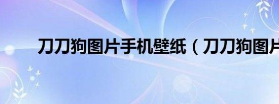 刀刀狗图片手机壁纸（刀刀狗图片）
