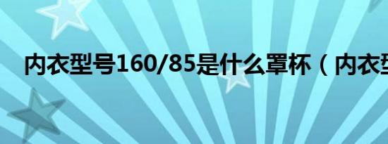 内衣型号160/85是什么罩杯（内衣型号）