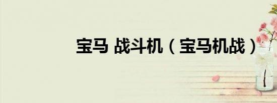 宝马 战斗机（宝马机战）