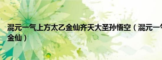 混元一气上方太乙金仙齐天大圣孙悟空（混元一气上方太乙金仙）