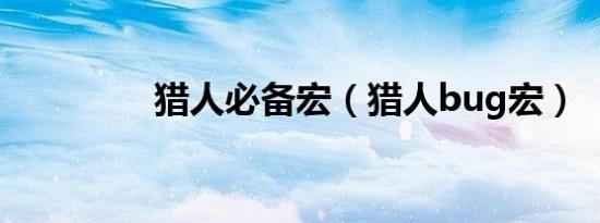 猎人必备宏（猎人bug宏）