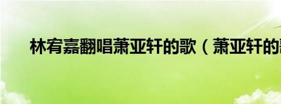 林宥嘉翻唱萧亚轩的歌（萧亚轩的歌）