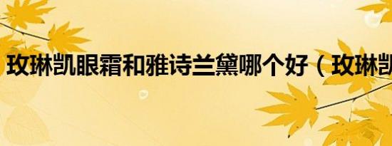 玫琳凯眼霜和雅诗兰黛哪个好（玫琳凯眼霜）
