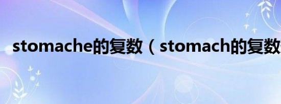 stomache的复数（stomach的复数形式）