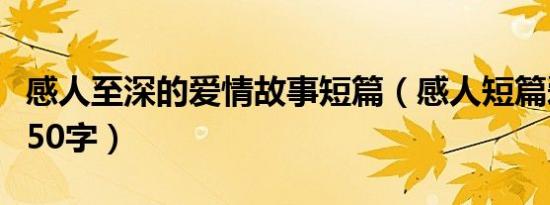 感人至深的爱情故事短篇（感人短篇爱情故事50字）