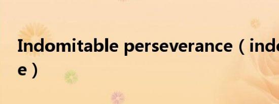 Indomitable perseverance（indomitable）