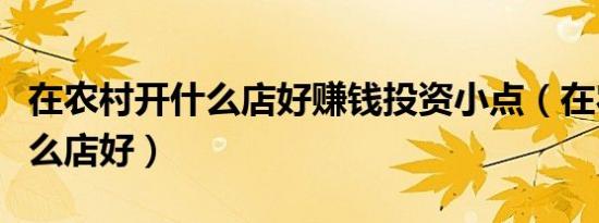 在农村开什么店好赚钱投资小点（在农村开什么店好）