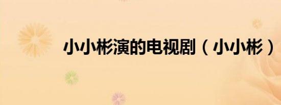 小小彬演的电视剧（小小彬）