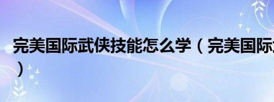 完美国际武侠技能怎么学（完美国际武侠技能）