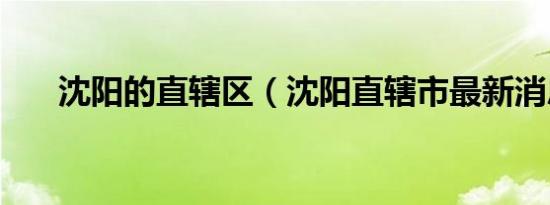 沈阳的直辖区（沈阳直辖市最新消息）